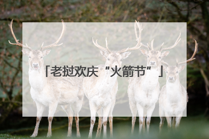 老挝欢庆“火箭节”
